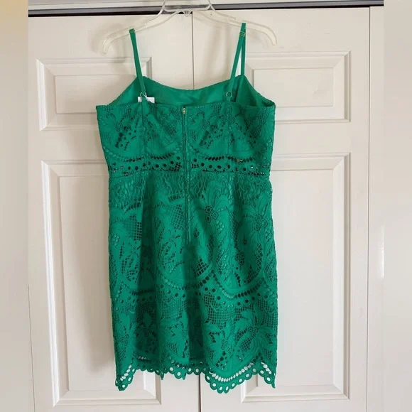 Lilly Pulitzer Brazilian Green Risette Lace Dress - Picture 3 of 15
